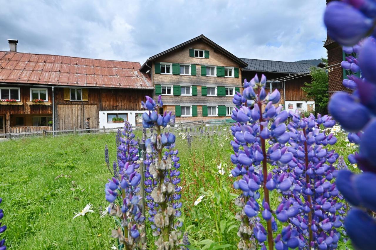 Апартаменти Ferienbauernhof Moosbrugger Шоппернау Екстер'єр фото